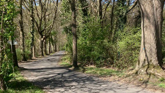 Erholungsgebiet Krickenbeck
