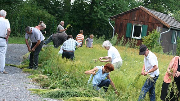 Workshop:  „Flachsernte