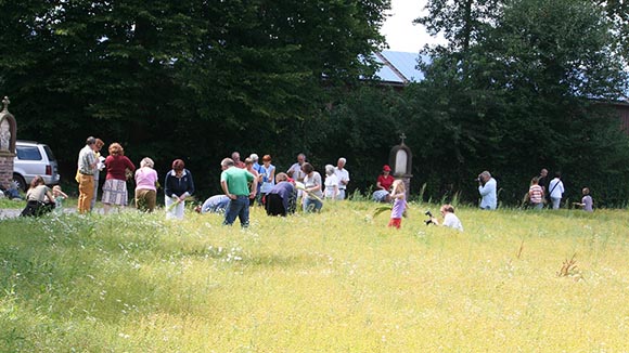 Workshop:  „Flachsernte