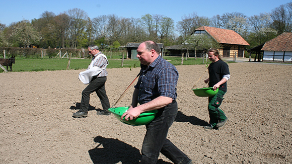 Workshop:  „Leinsamen Aussaat