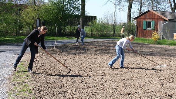 Workshop:  „Leinsamen Aussaat