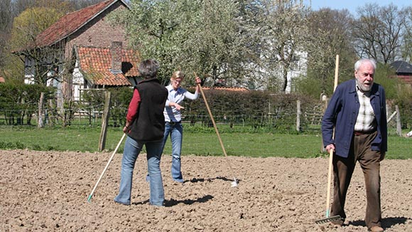 Workshop:  „Leinsamen Aussaat