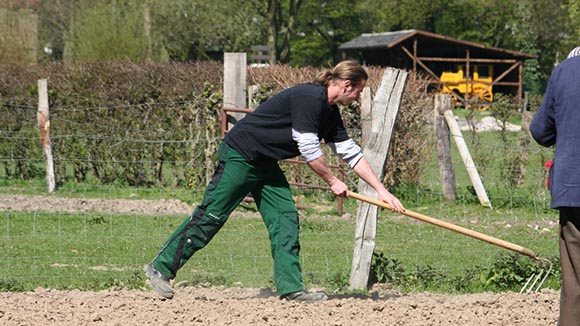 Workshop:  „Leinsamen Aussaat